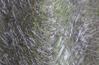 Sots Hole fibreglass roof work